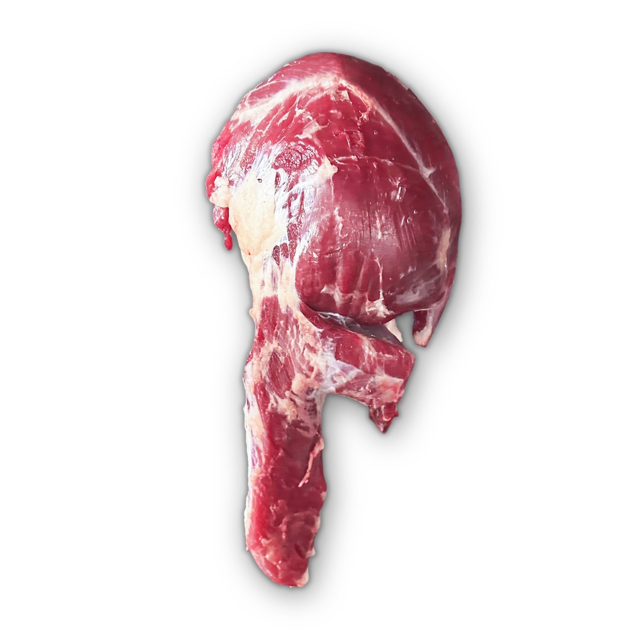 Image_20260119_125846_924 copy