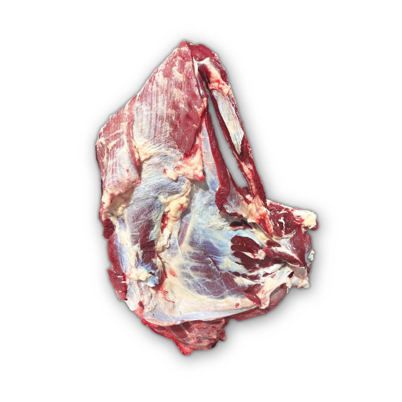 Image_20260119_125852_793 copy