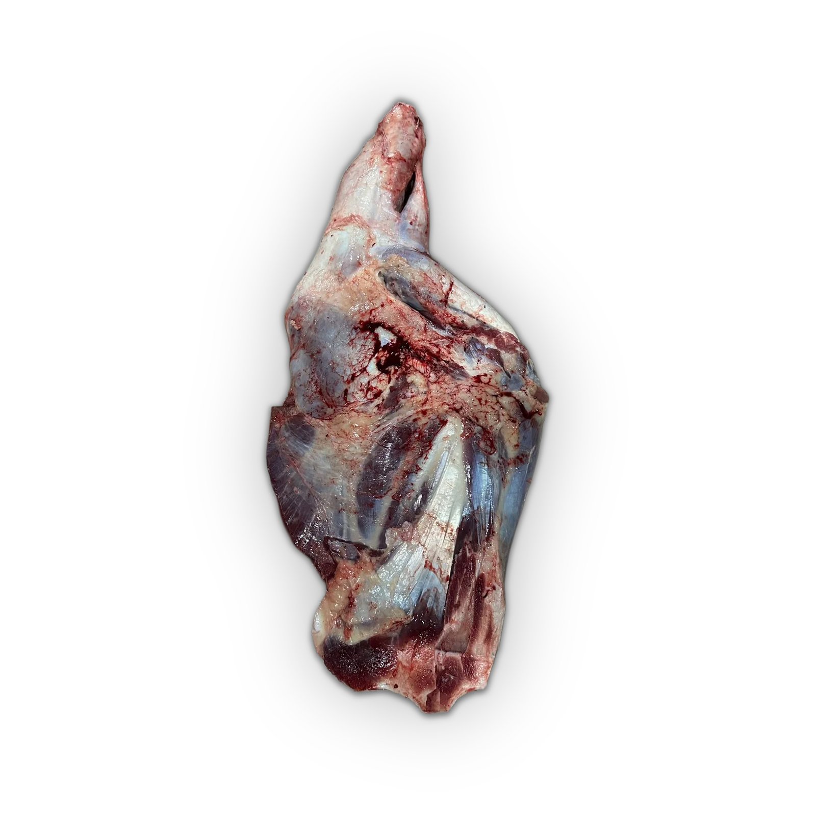 Chuck / Paha Depan (Sampil Depan)