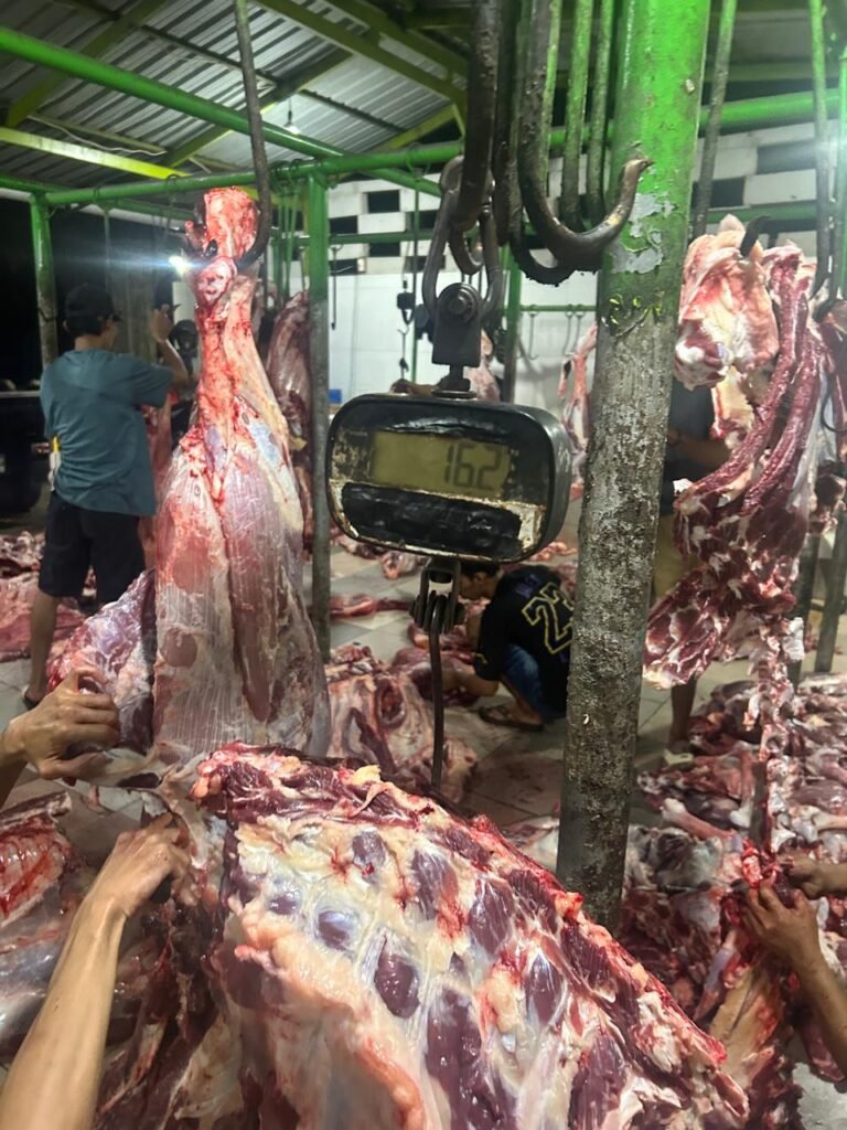 Supplier Daging Sapi Segar