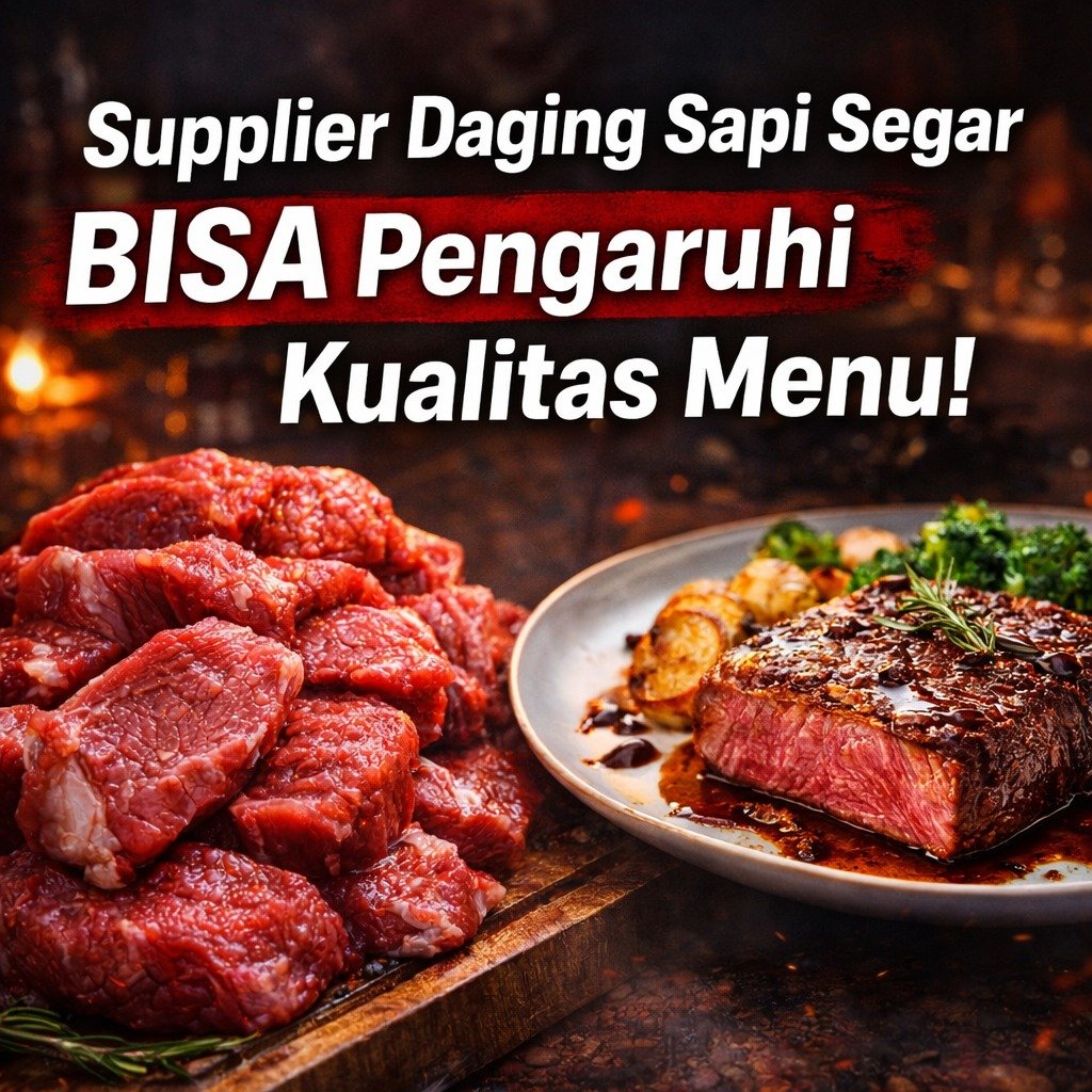 Supplier Daging Sapi Segar